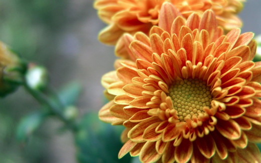 465349 (a): :1920x1200